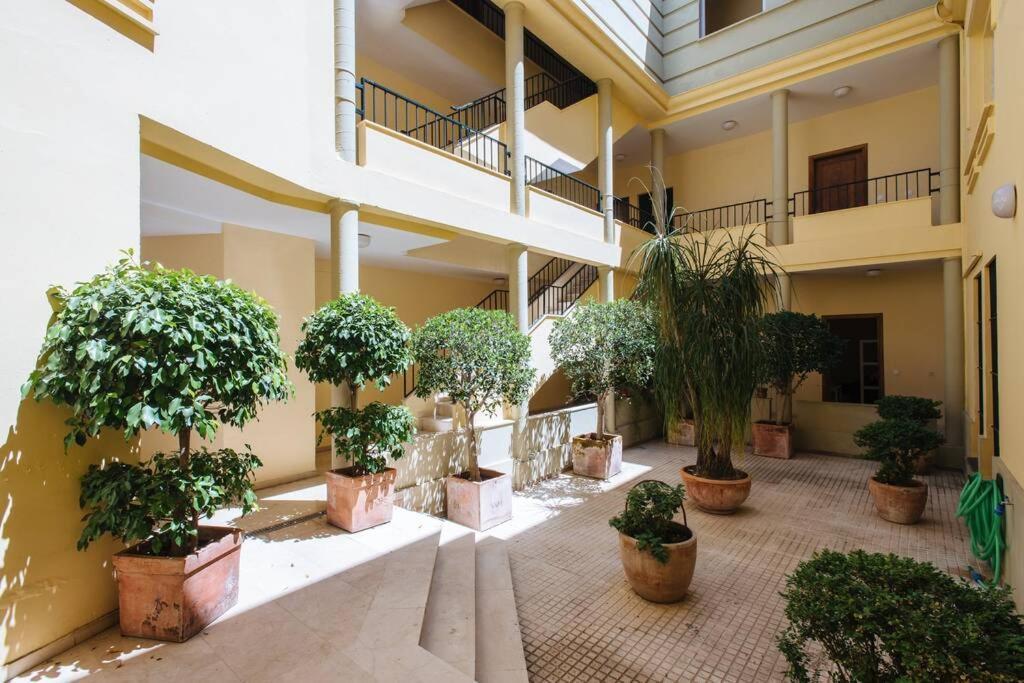 Cozy And Well Located Apartment In The Center Of Sevilla Dış mekan fotoğraf